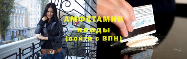 прущие грибы Няндома