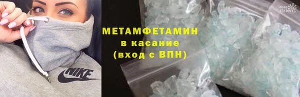 прущие грибы Няндома
