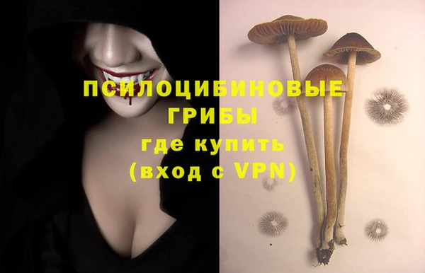 трава Новодвинск