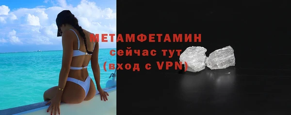 прущие грибы Няндома