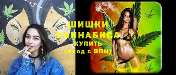 трава Новодвинск
