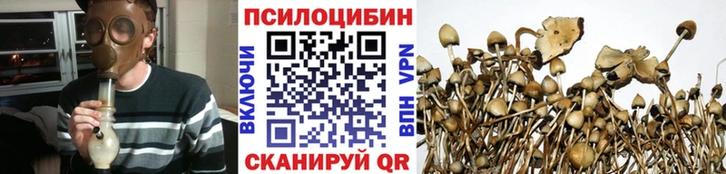 Псилоцибиновые грибы ЛСД  Навашино 